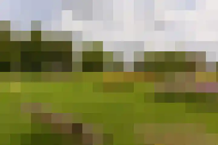 Dorpsweg 91 A Schellinkhout thumbnail 41