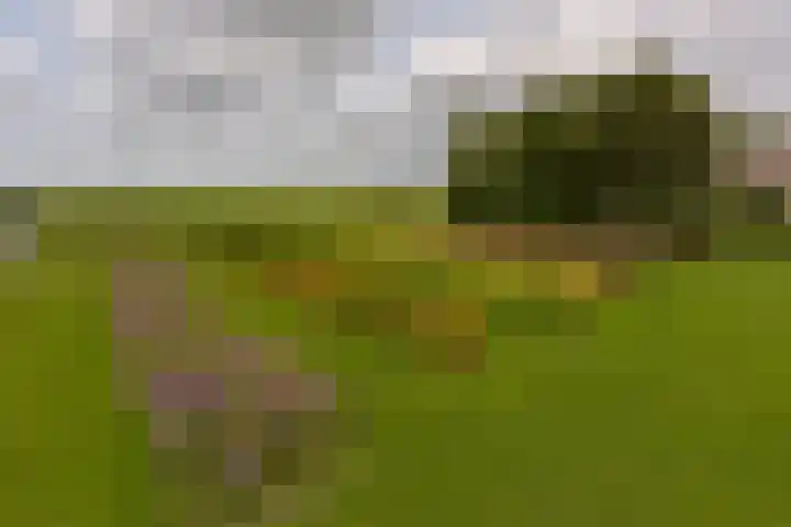 Dorpsweg 91 A Schellinkhout thumbnail 42