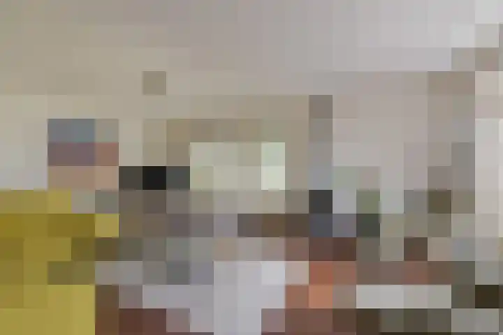Dorpsweg 91 A Schellinkhout thumbnail 6