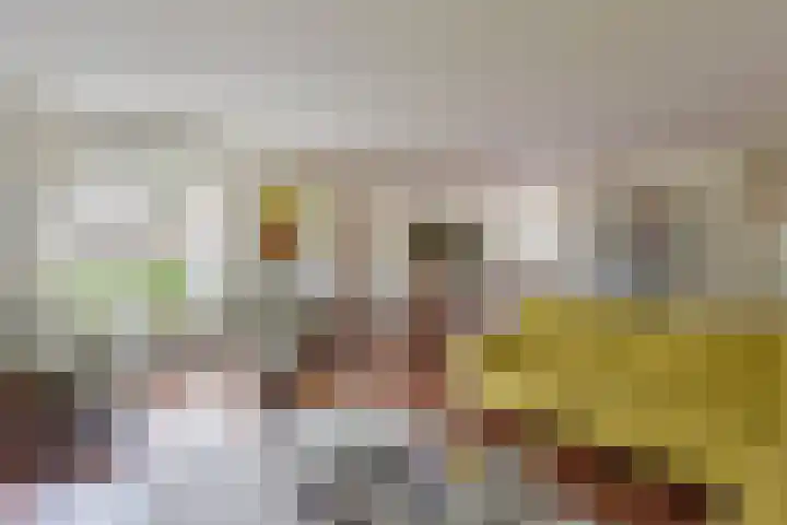 Dorpsweg 91 A Schellinkhout thumbnail 8