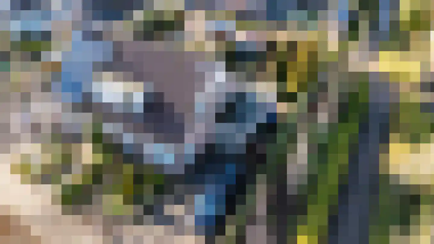 Dorpsweg 91 Sommelsdijk thumbnail 37