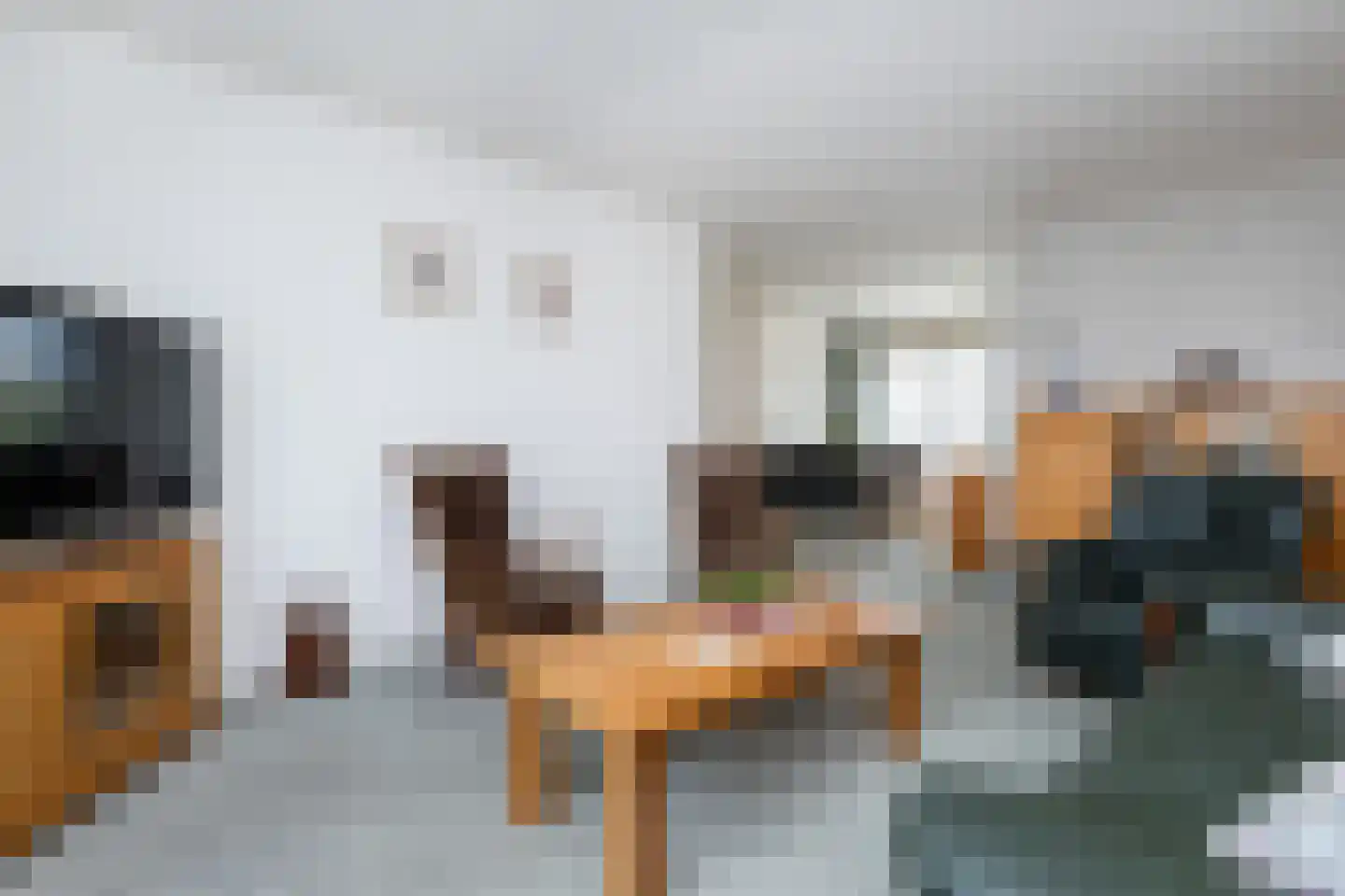Dorpsweg 91 Sommelsdijk thumbnail 7