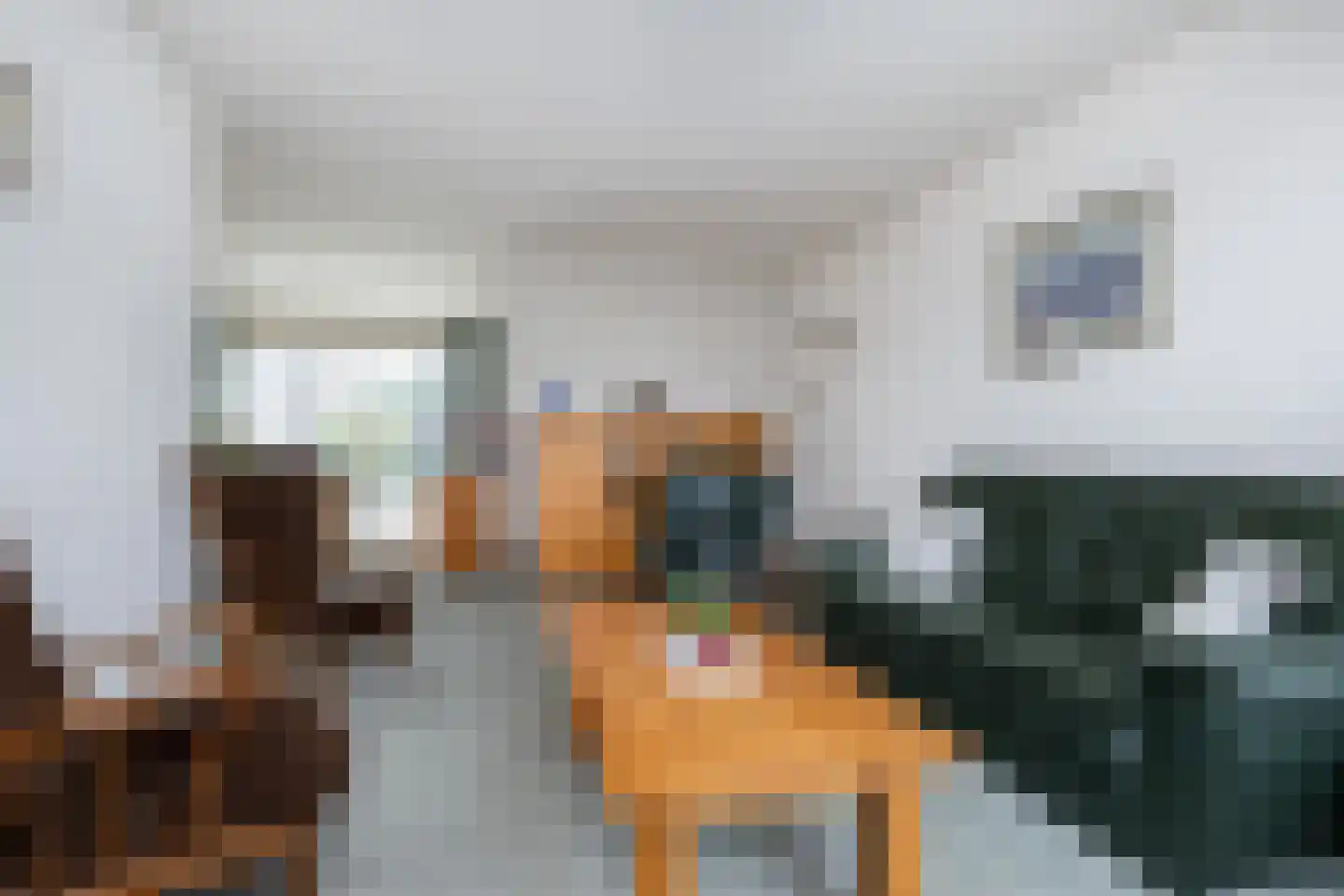 Dorpsweg 91 Sommelsdijk thumbnail 8