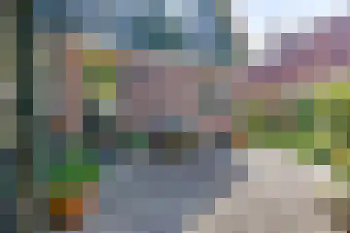 Dorpsweg 92 Hensbroek thumbnail 37