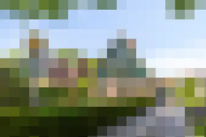 Dorpsweg 92 Hensbroek thumbnail 42