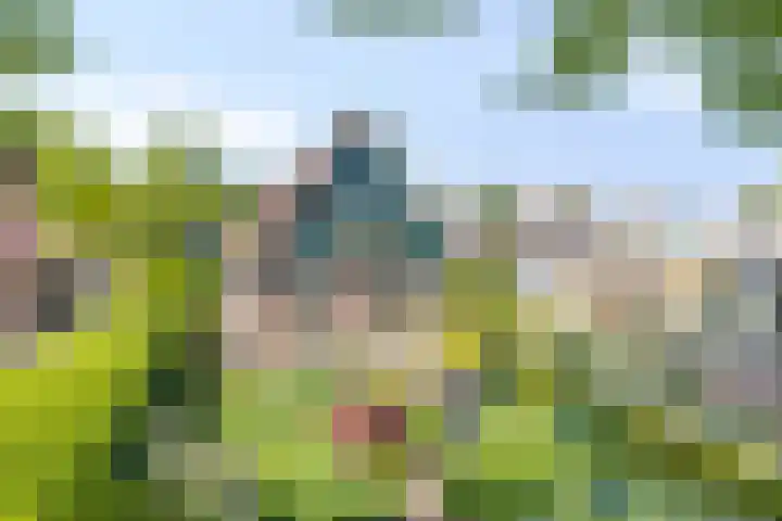 Dorpsweg 92 Hensbroek thumbnail 43