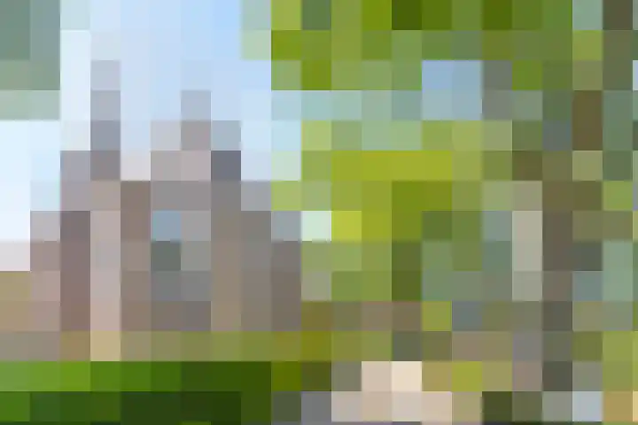 Dorpsweg 92 Hensbroek thumbnail 44