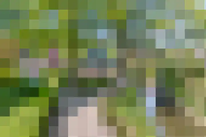 Dorpsweg 92 Hensbroek thumbnail 6