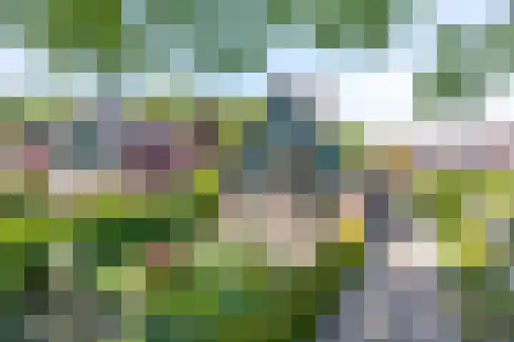 Dorpsweg 92 Hensbroek thumbnail 8