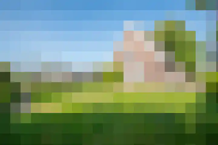 Dorpsweg 93 Hensbroek thumbnail 40