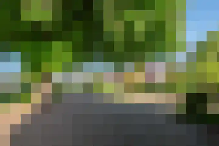 Dorpsweg 93 Hensbroek thumbnail 45
