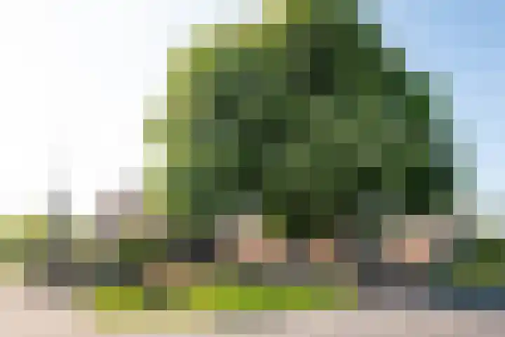 Dorpsweg 93 Hensbroek thumbnail 48