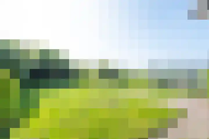 Dorpsweg 93 Hensbroek thumbnail 6