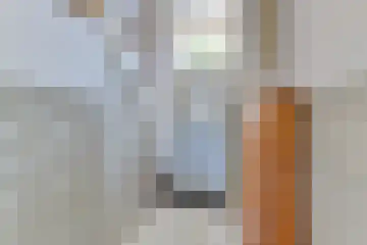 Dorpsweg 93 Hensbroek thumbnail 9