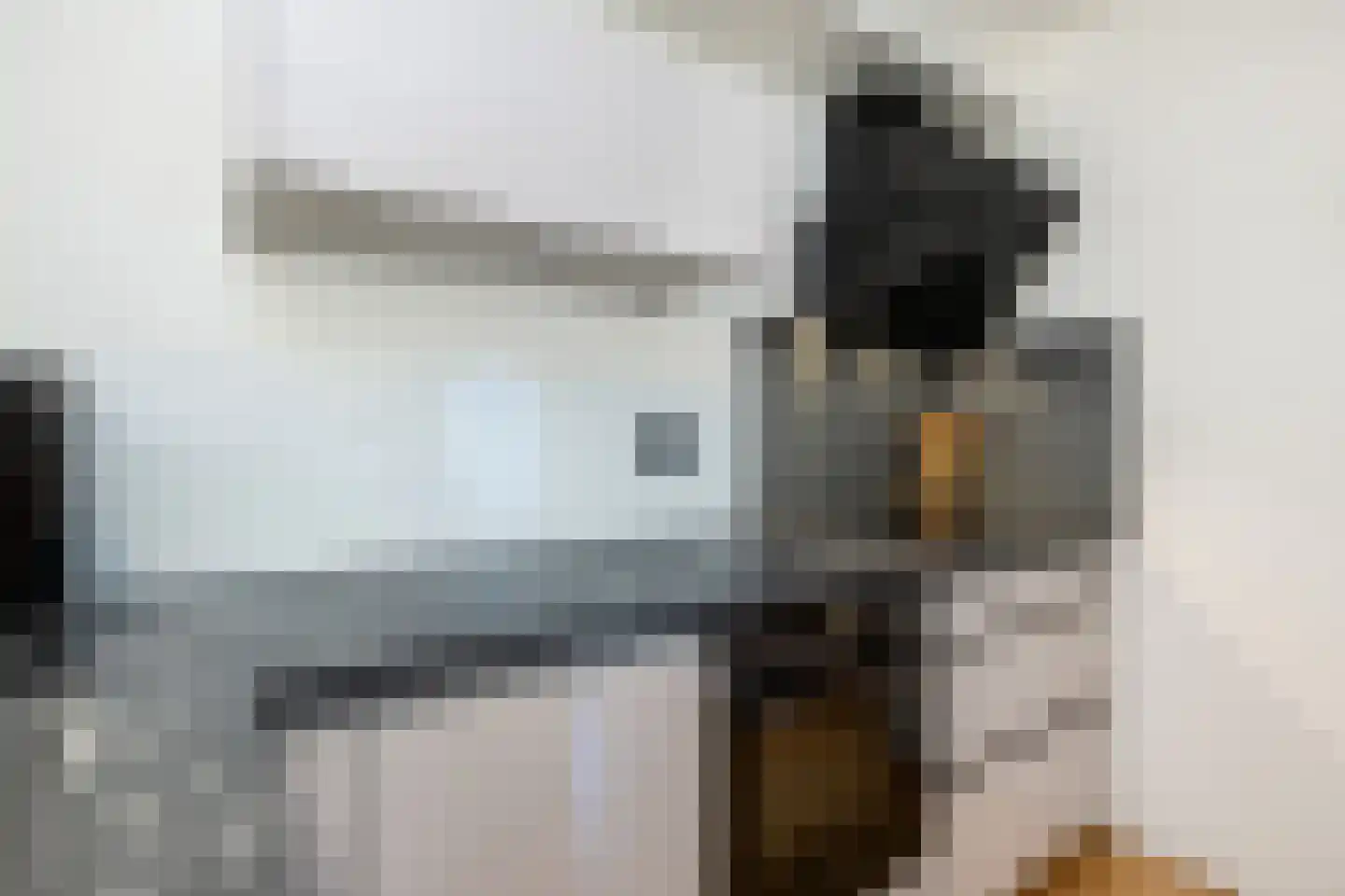 Dorpsweg 93 Sommelsdijk thumbnail 12
