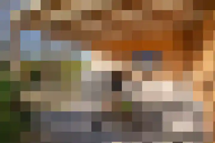 Dorpsweg 93 Sommelsdijk thumbnail 23