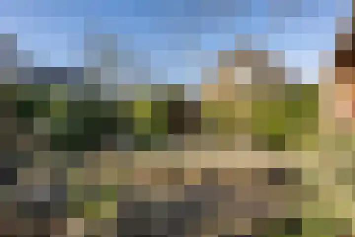 Dorpsweg 93 Sommelsdijk thumbnail 24