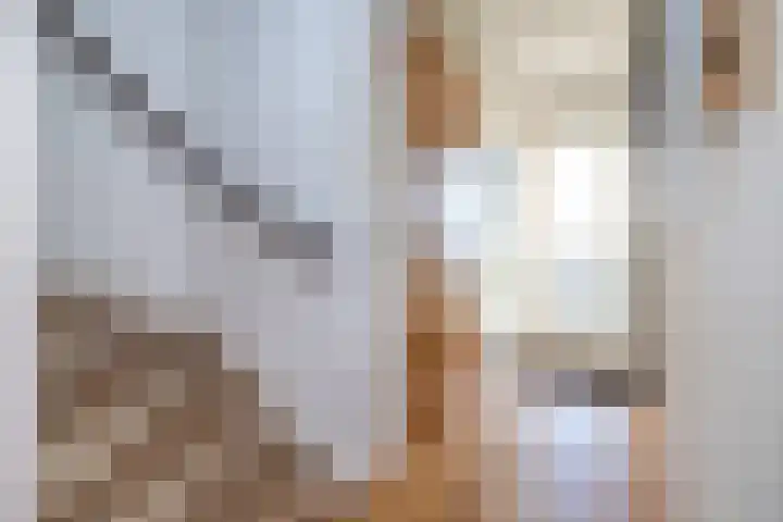 Dorpsweg 93 Sommelsdijk thumbnail 4