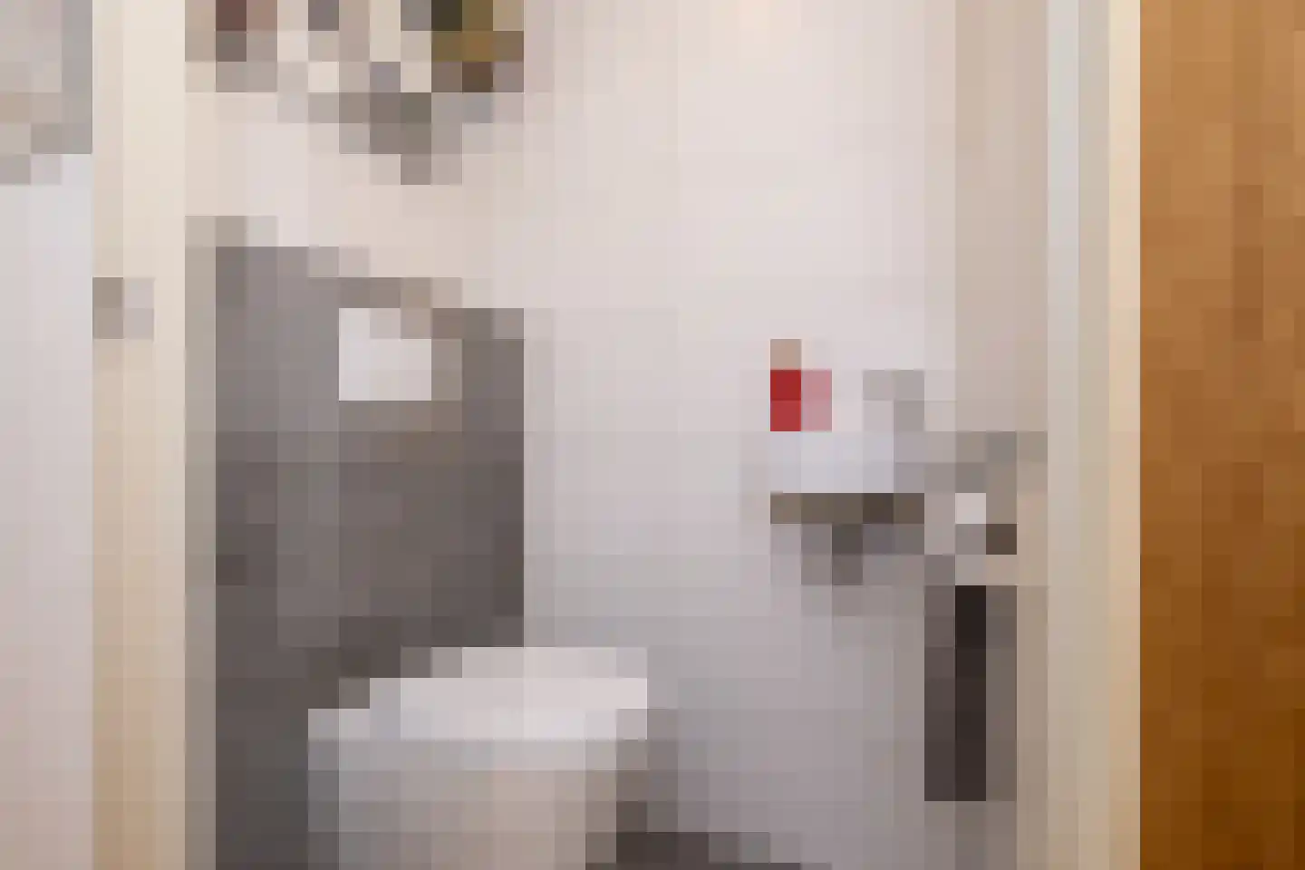 Dorpsweg 93 Sommelsdijk thumbnail 5