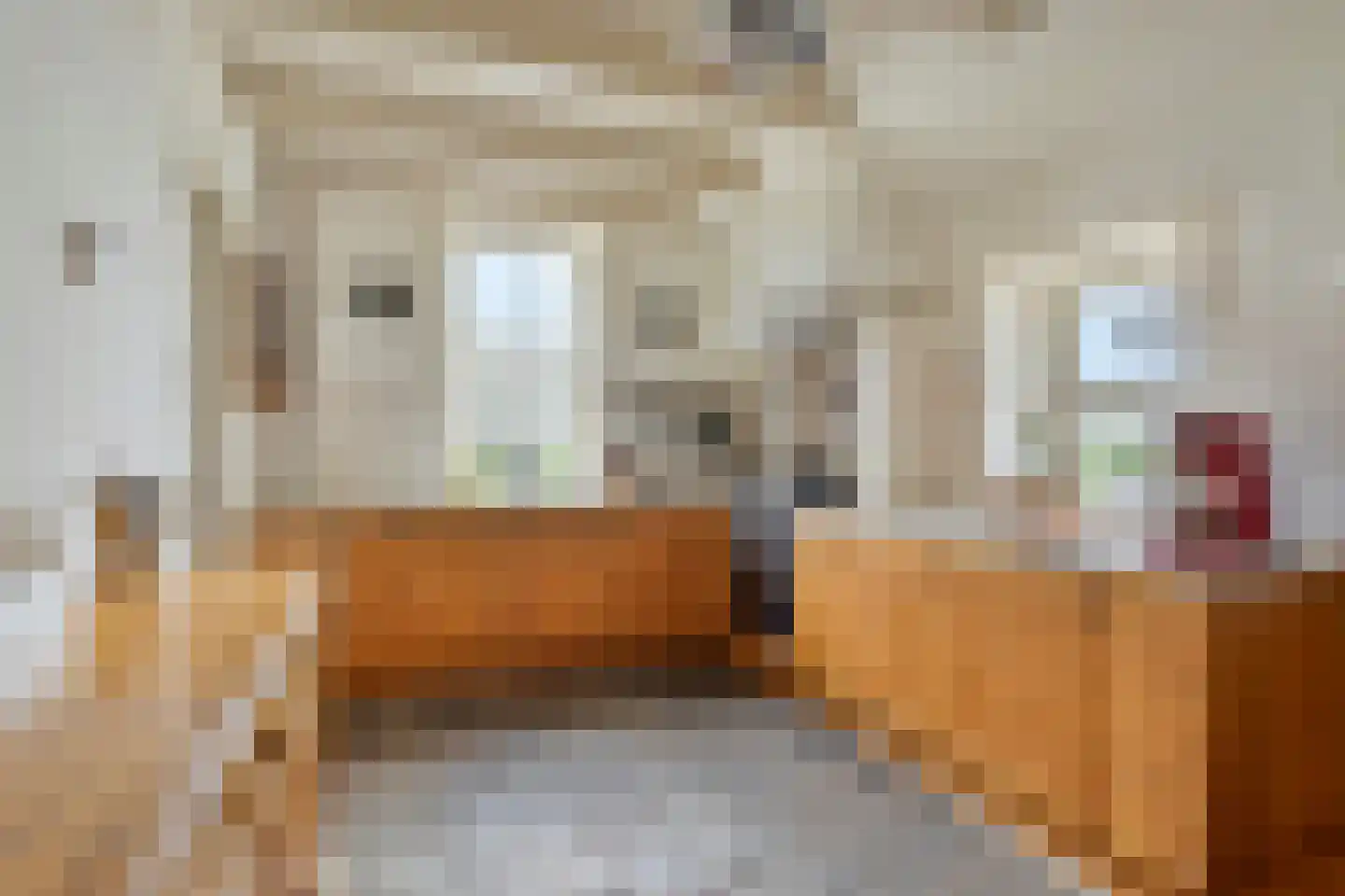 Dorpsweg 98 Hoogblokland thumbnail 11