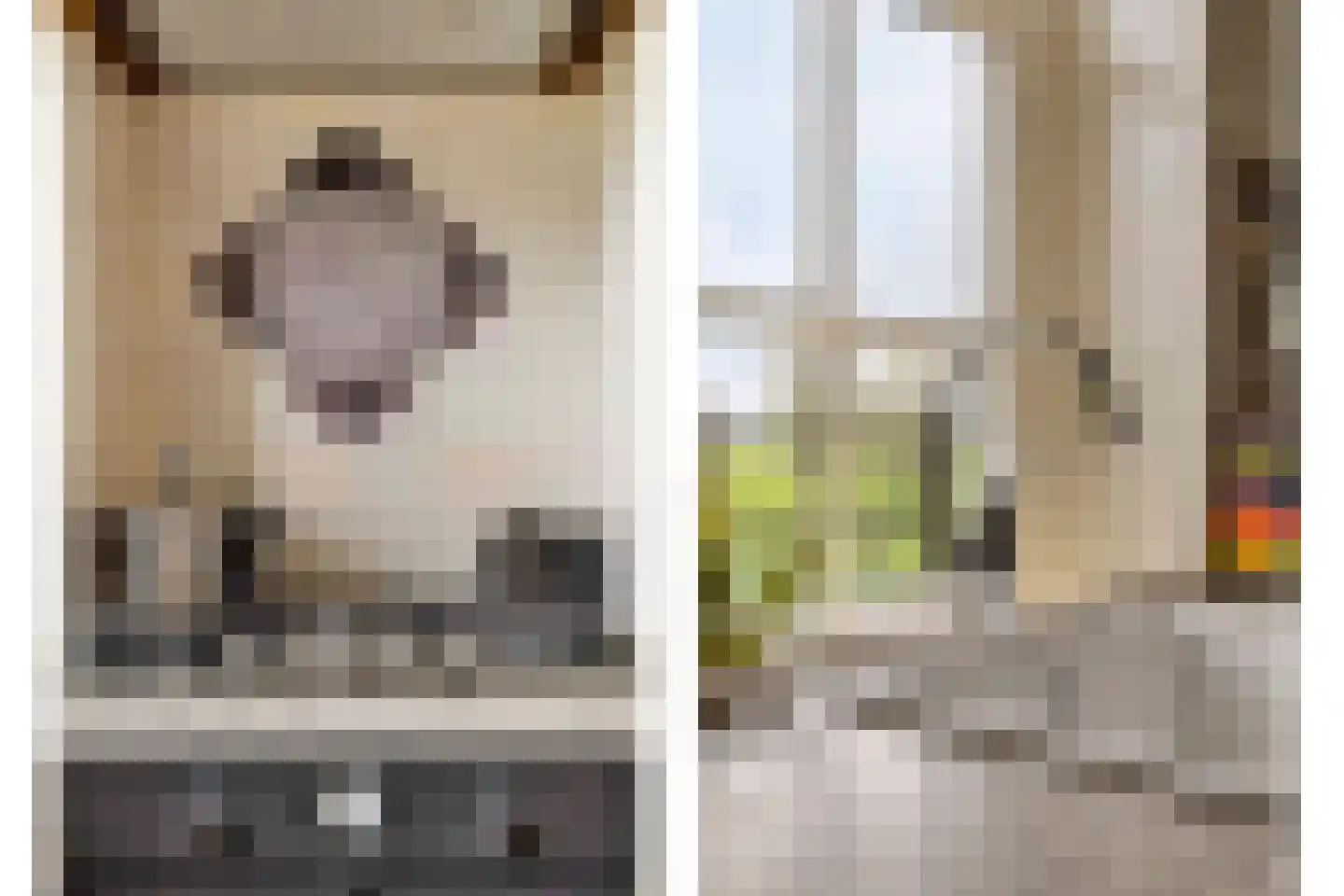 Dorpsweg 98 Hoogblokland thumbnail 12