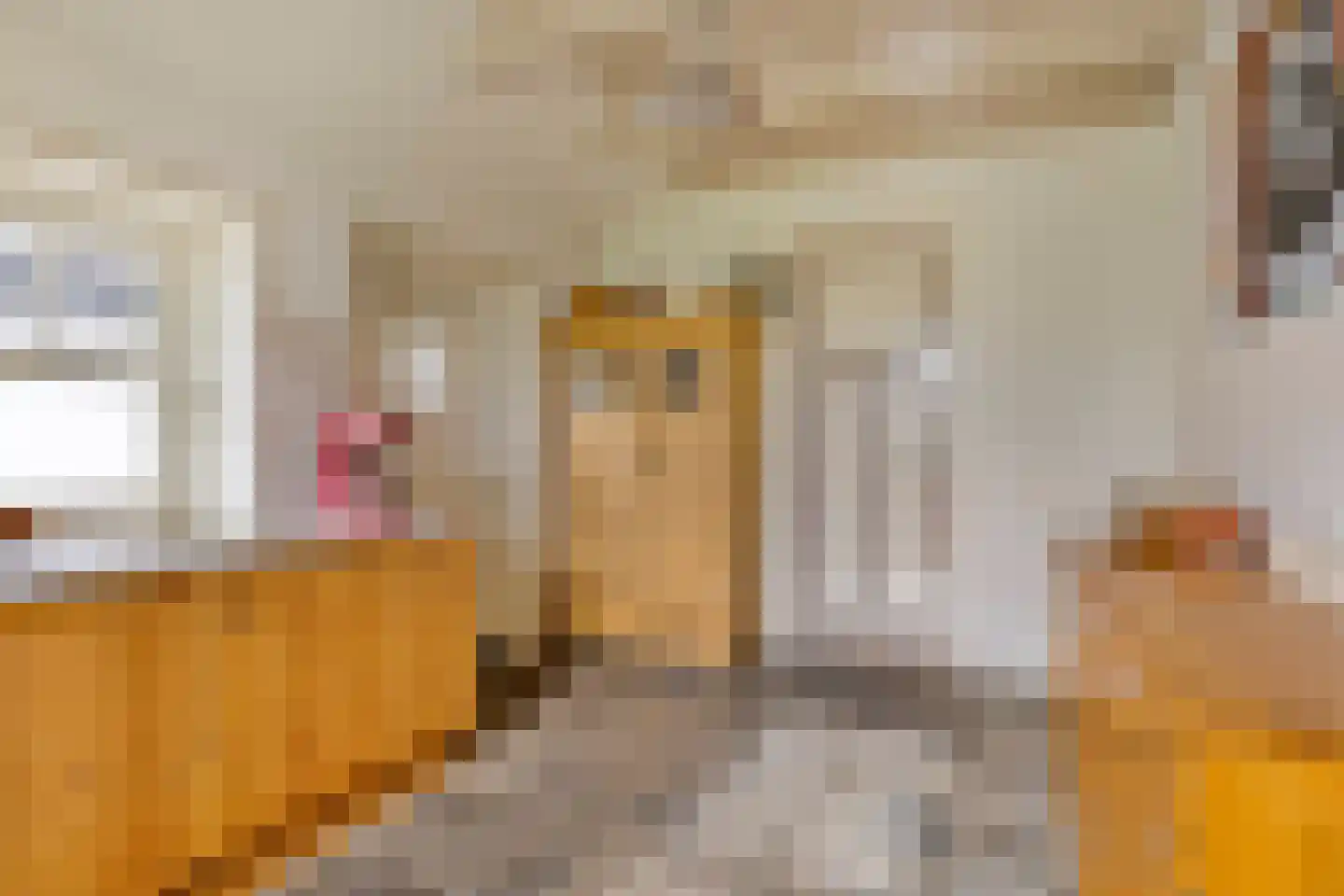Dorpsweg 98 Hoogblokland thumbnail 13