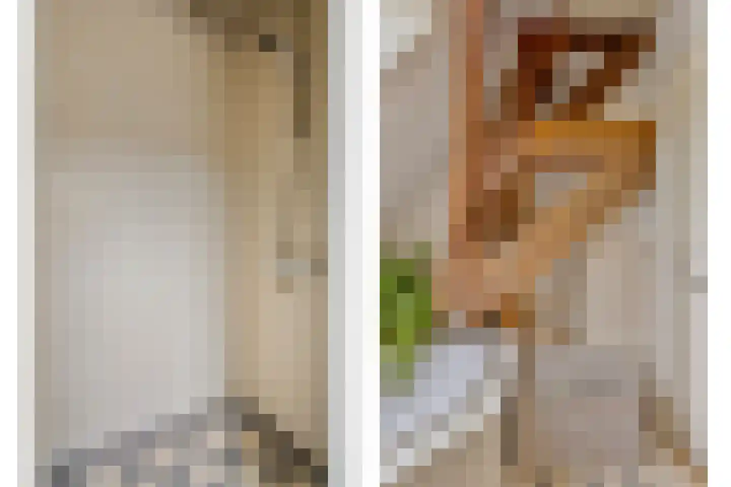 Dorpsweg 98 Hoogblokland thumbnail 16