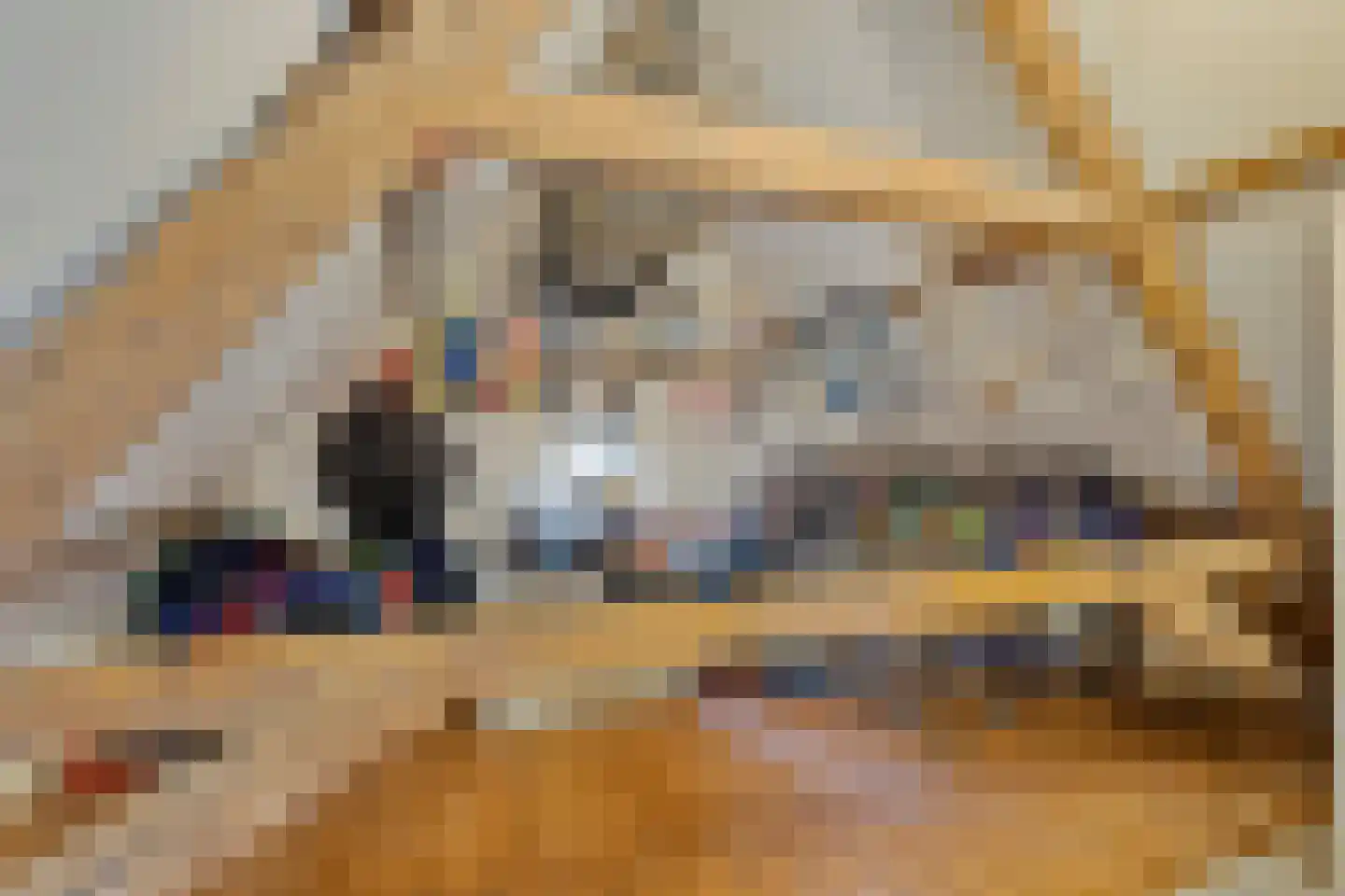Dorpsweg 98 Hoogblokland thumbnail 21