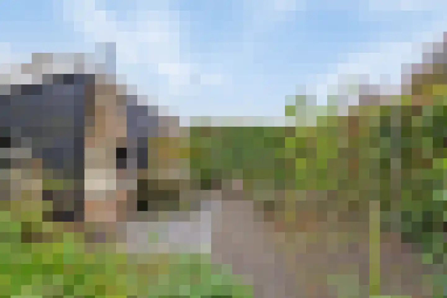 Dorpsweg 98 Hoogblokland thumbnail 25