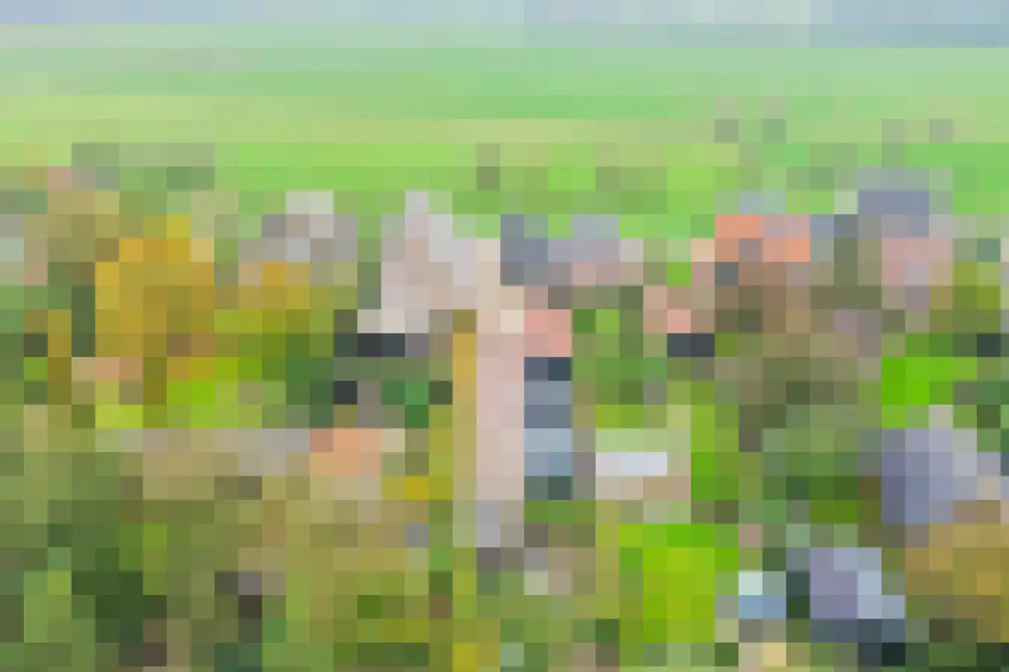 Dorpsweg 98 Hoogblokland thumbnail 32