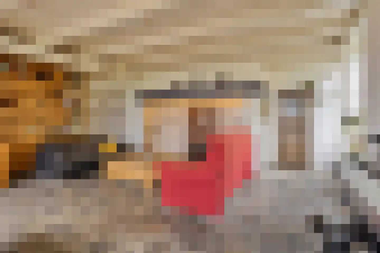Dorpsweg 98 Hoogblokland thumbnail 7