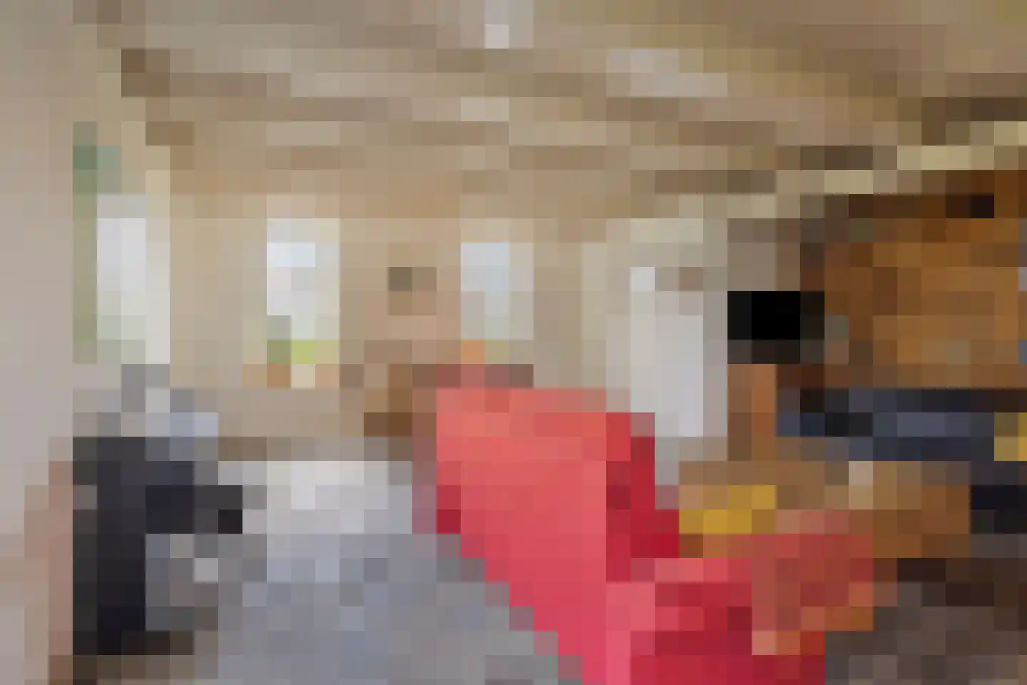 Dorpsweg 98 Hoogblokland thumbnail 8