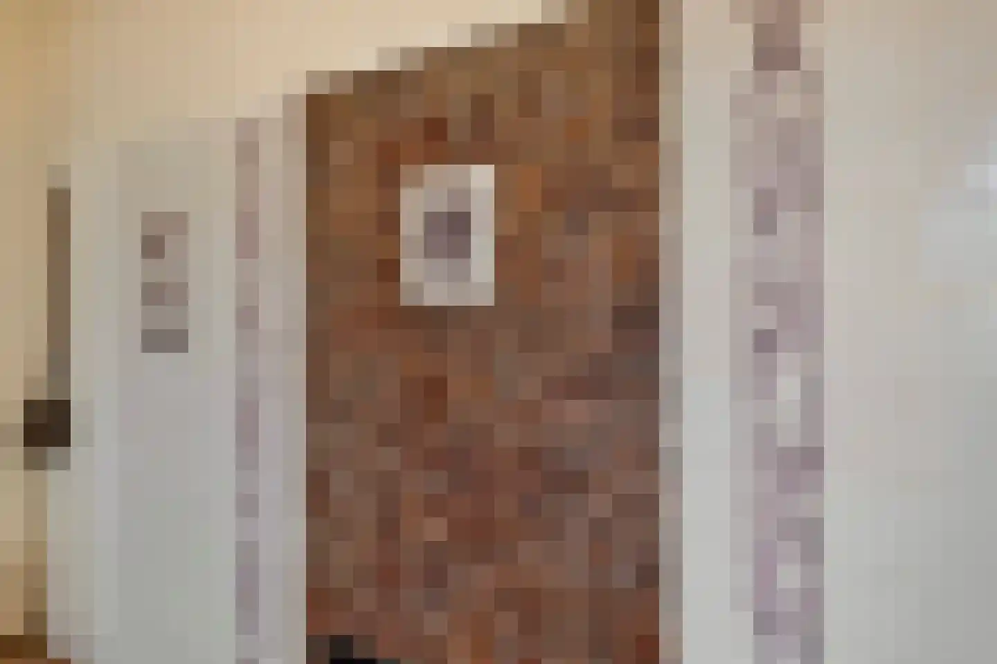 Dorpsweg 98 Hoogblokland thumbnail 9