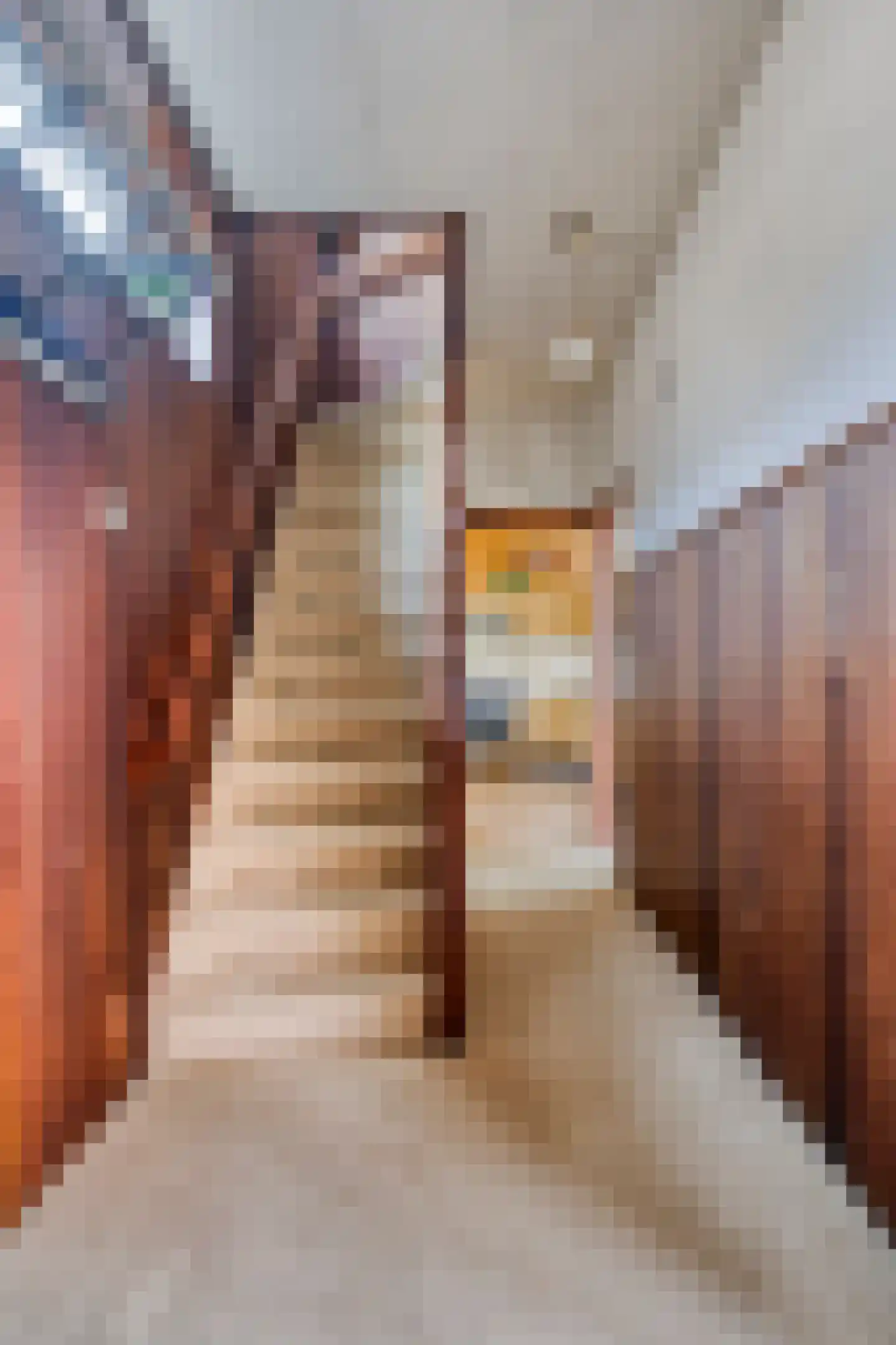 Dorpsweg Ransdorp 103 Amsterdam thumbnail 20