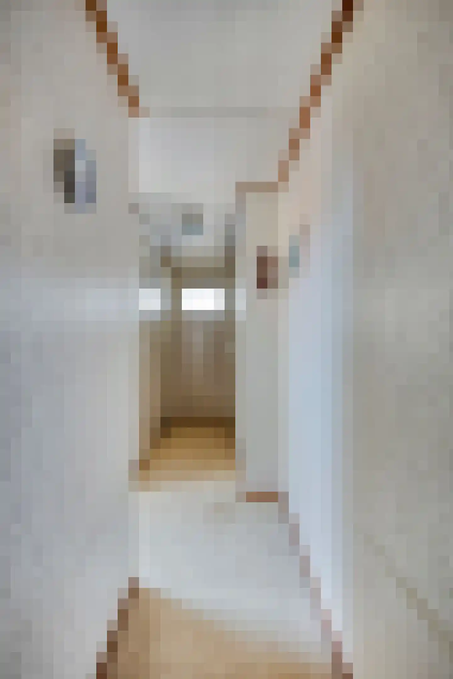 Dorpsweg Ransdorp 103 Amsterdam thumbnail 26