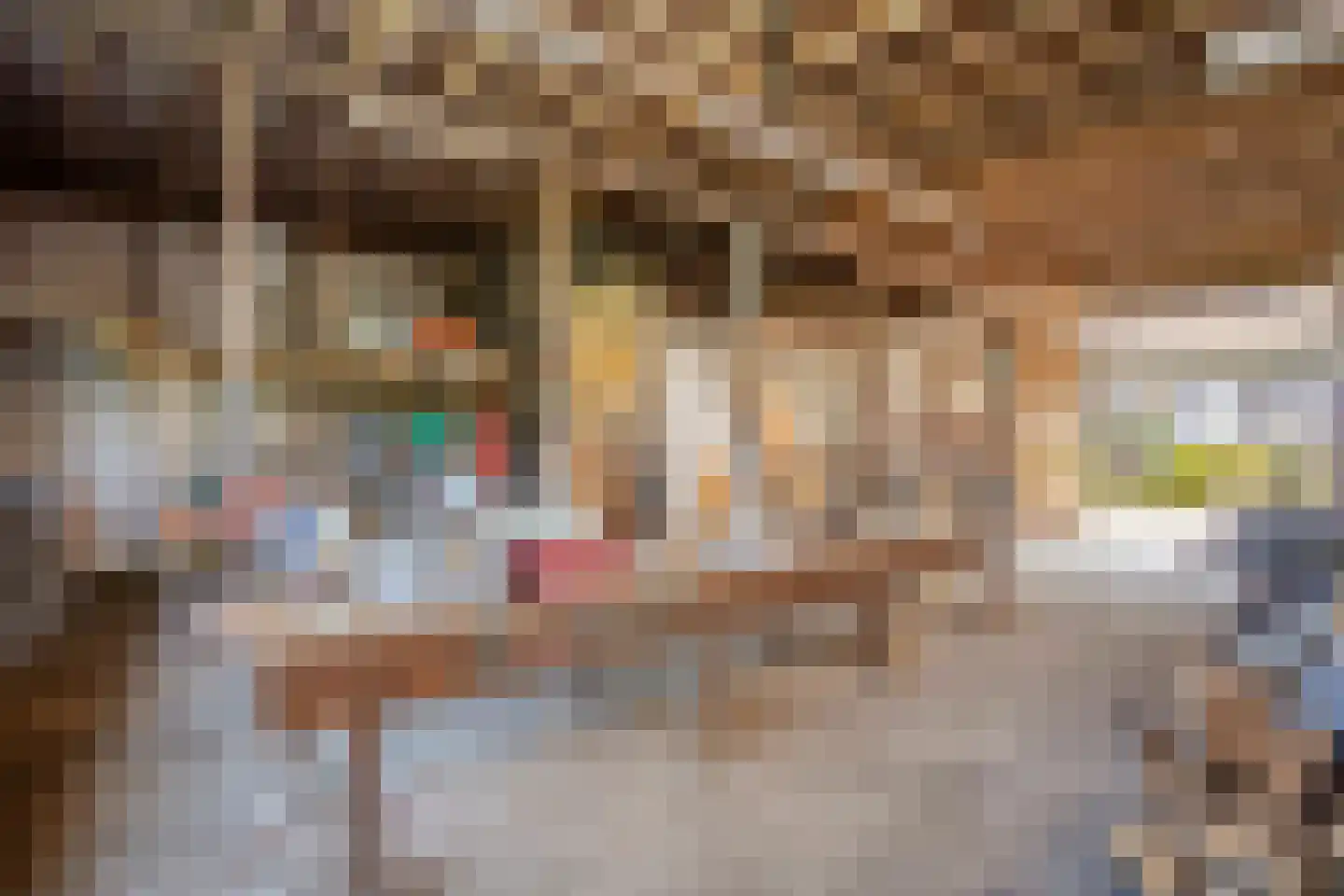 Dorpsweg Ransdorp 103 Amsterdam thumbnail 45