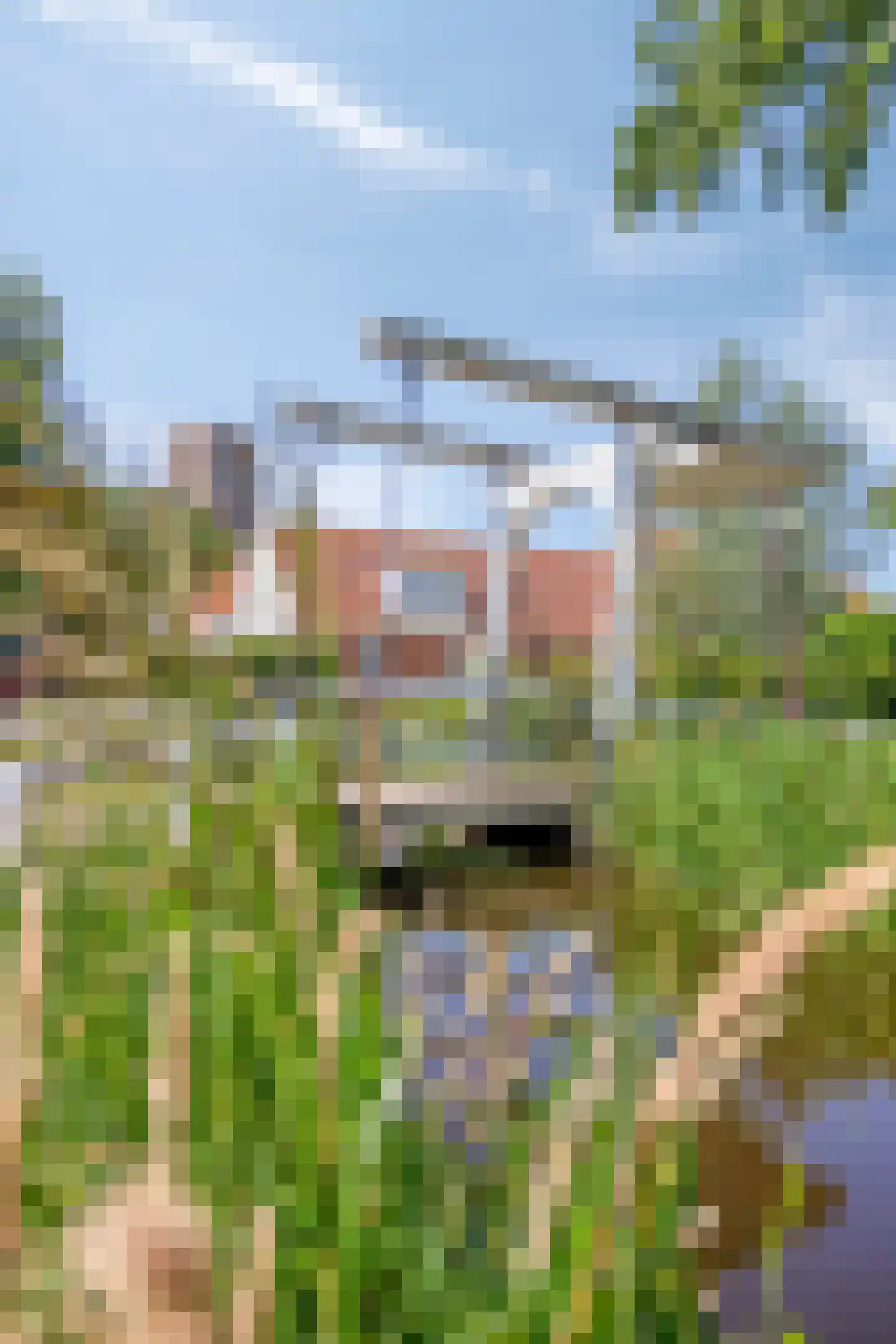 Dorpsweg Ransdorp 103 Amsterdam thumbnail 47