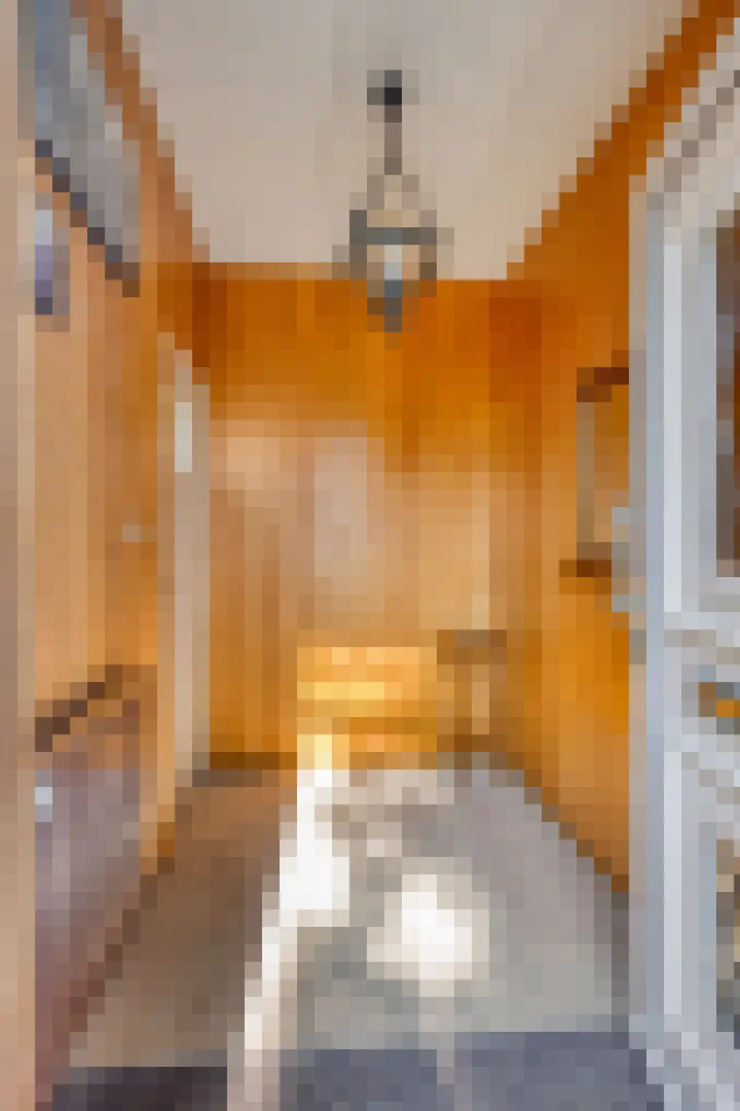 Dorpsweg Ransdorp 103 Amsterdam thumbnail 5