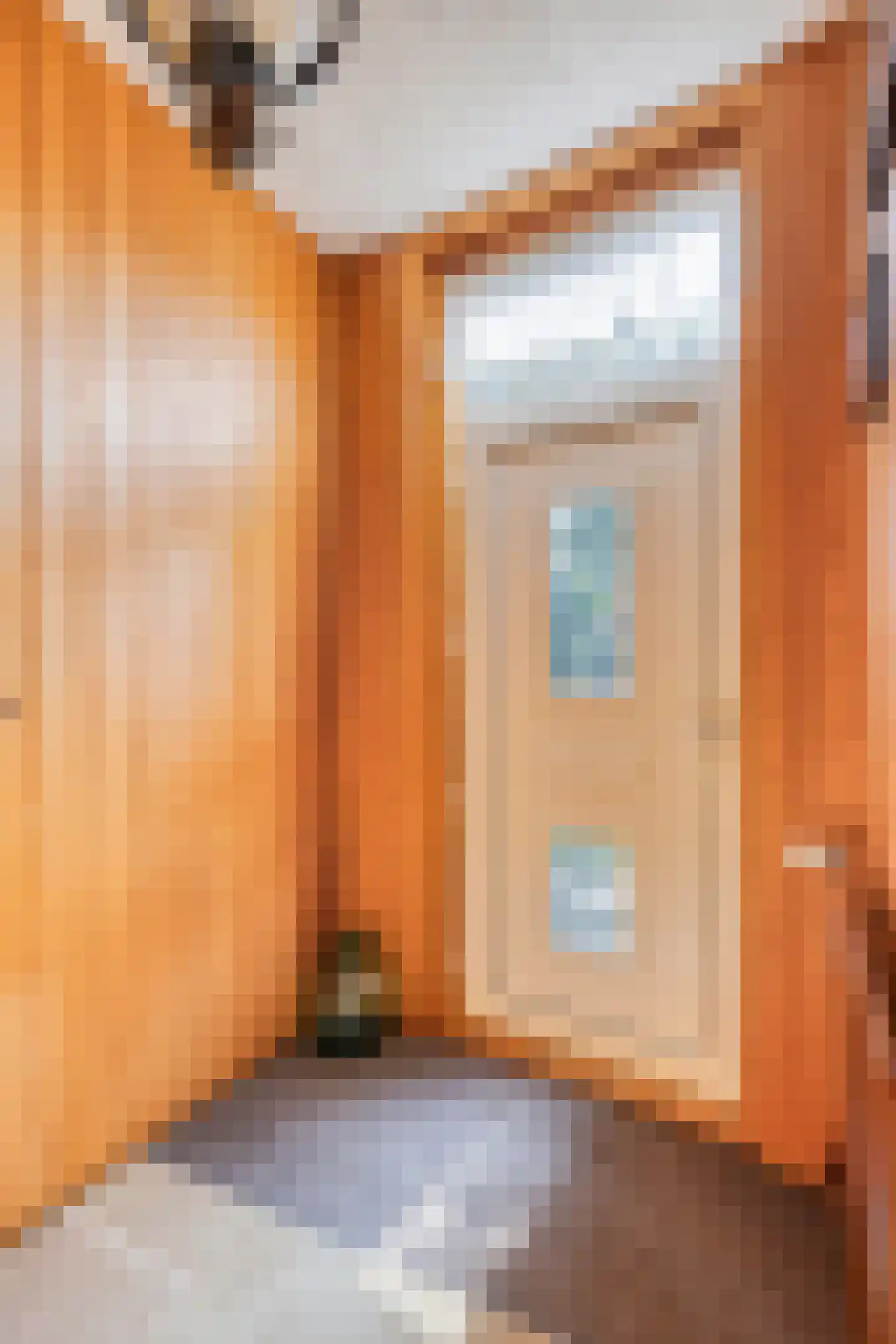 Dorpsweg Ransdorp 103 Amsterdam thumbnail 6