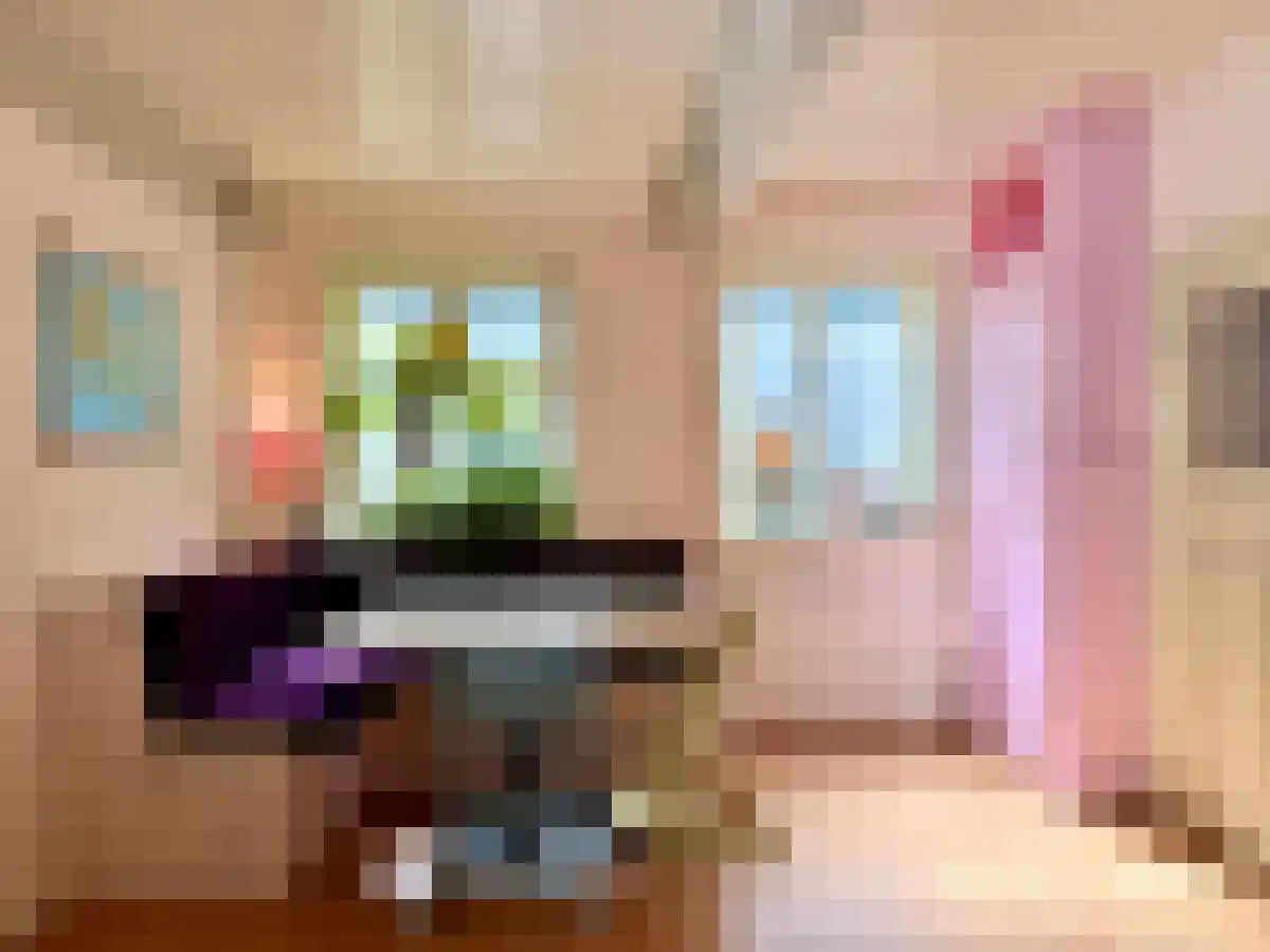 Dorpsweg Ransdorp 43 Amsterdam thumbnail 5