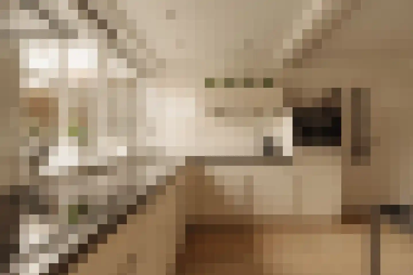 Dorpsweg Ransdorp 64 Amsterdam thumbnail 14