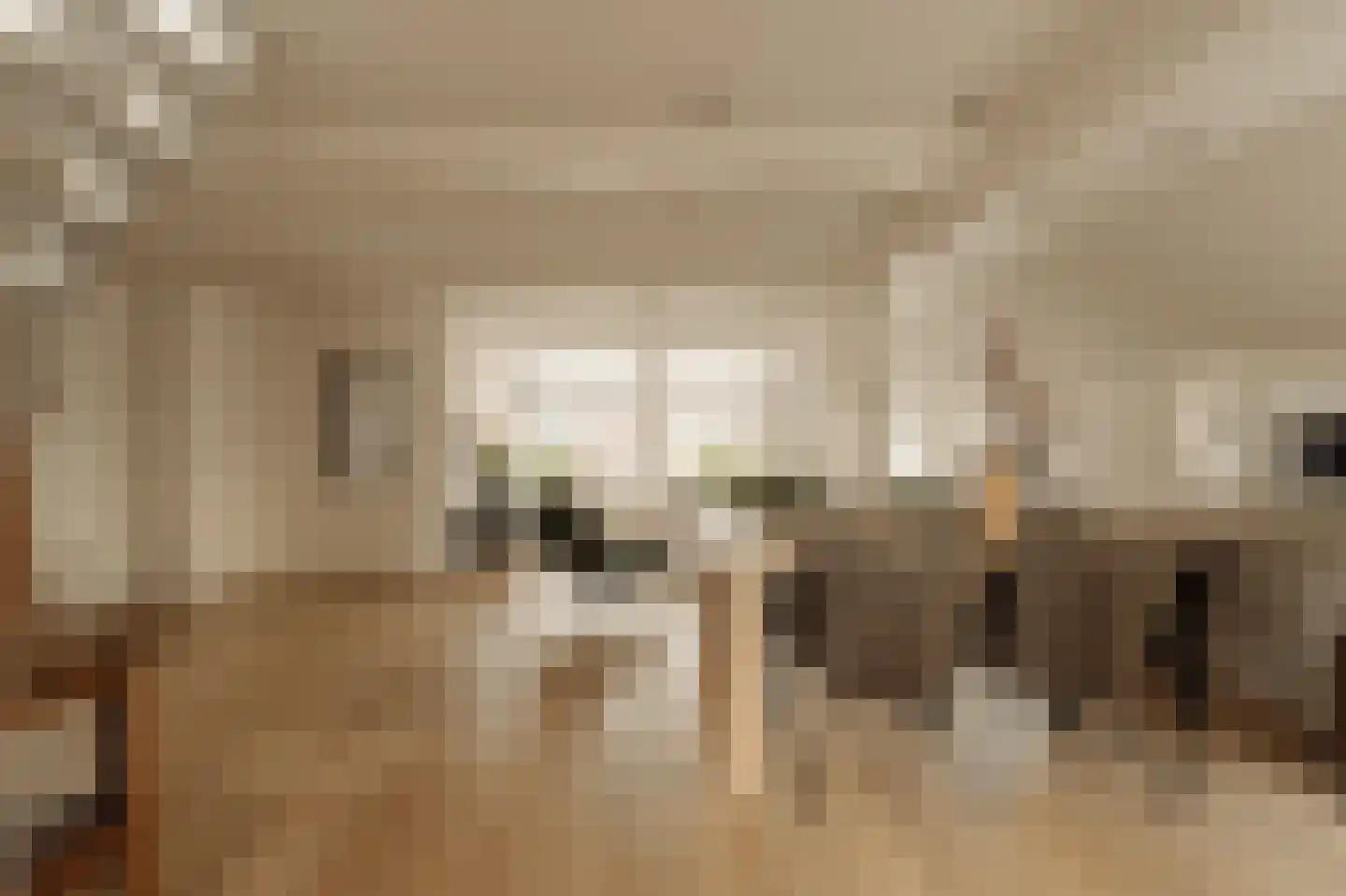 Dorpsweg Ransdorp 64 Amsterdam thumbnail 15