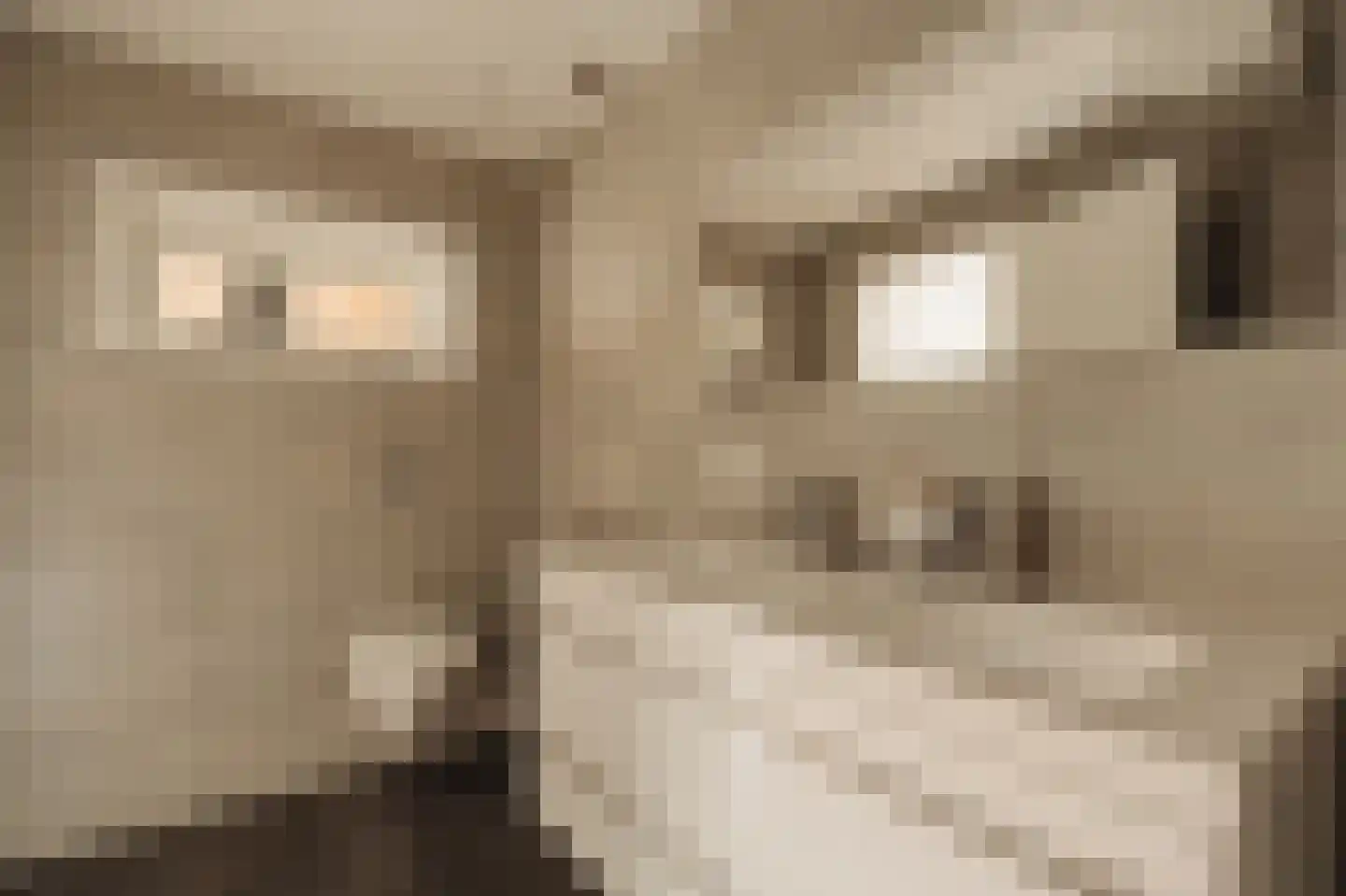 Dorpsweg Ransdorp 64 Amsterdam thumbnail 21