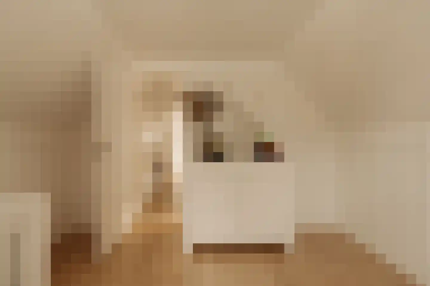 Dorpsweg Ransdorp 64 Amsterdam thumbnail 29