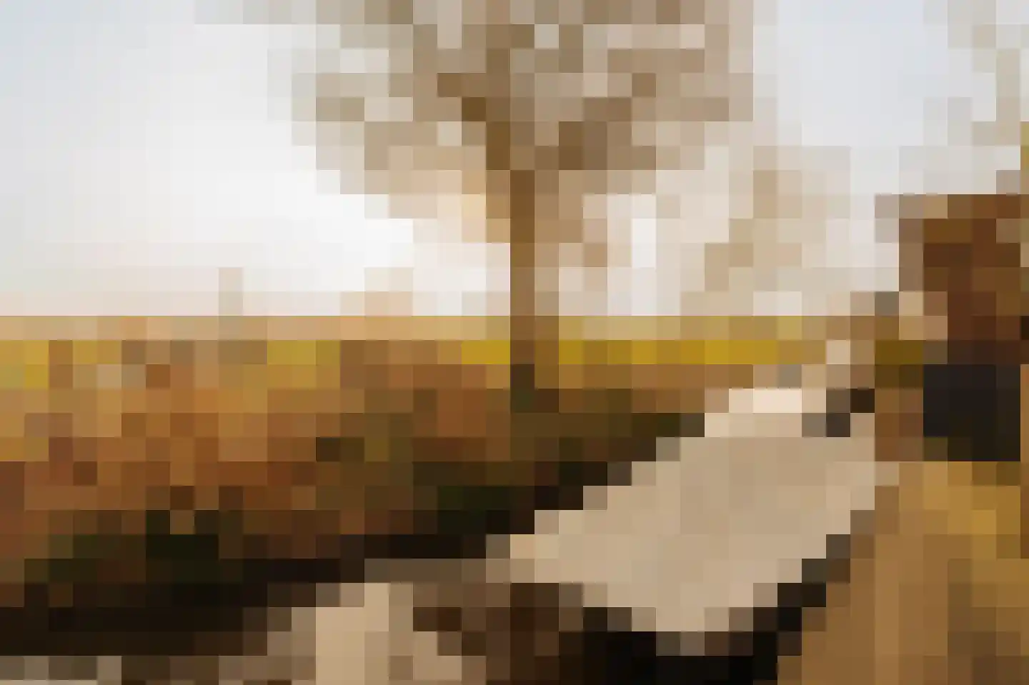 Dorpsweg Ransdorp 64 Amsterdam thumbnail 32