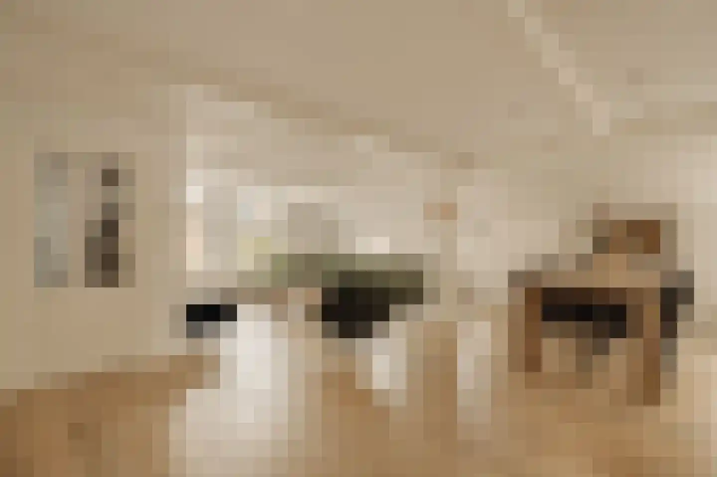Dorpsweg Ransdorp 64 Amsterdam thumbnail 7