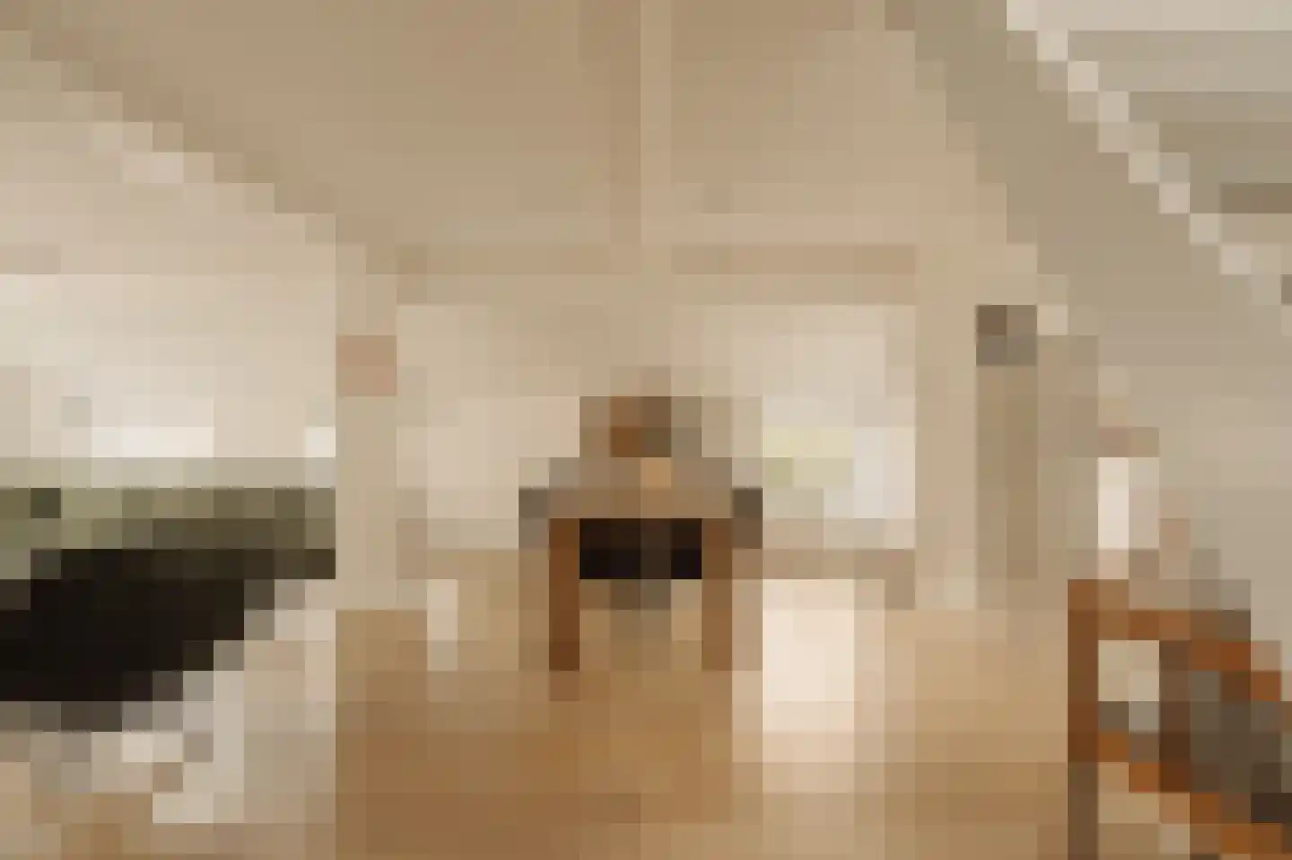 Dorpsweg Ransdorp 64 Amsterdam thumbnail 8