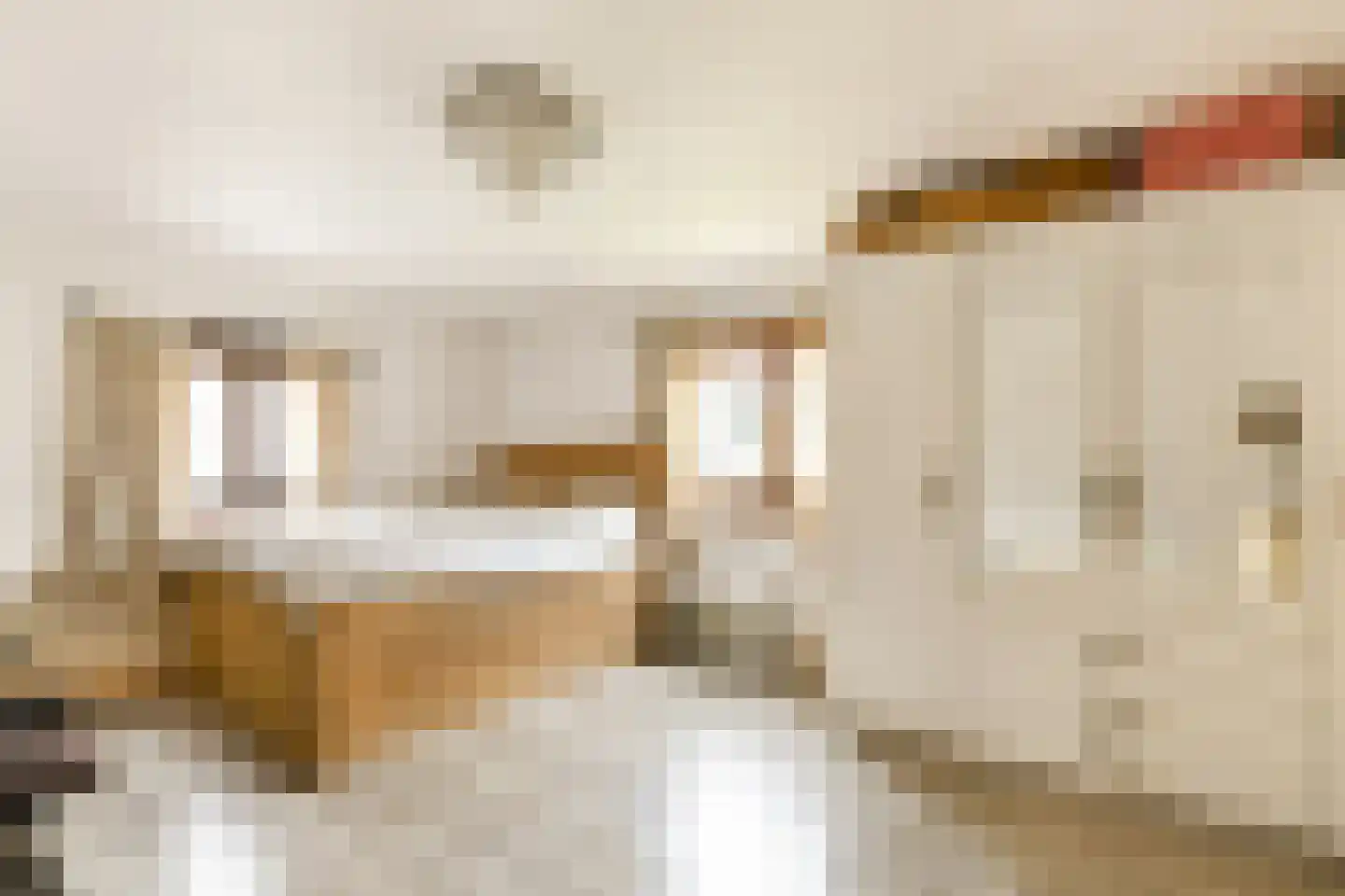 Dorpsweg Ransdorp 67 Amsterdam thumbnail 13