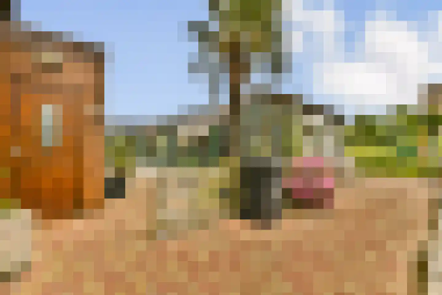 Dorpsweg Ransdorp 67 Amsterdam thumbnail 21