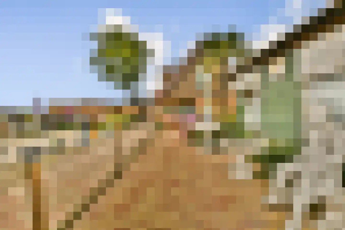 Dorpsweg Ransdorp 67 Amsterdam thumbnail 22